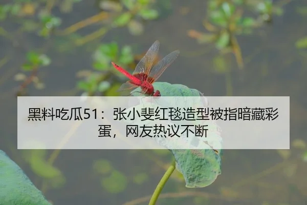 黑料吃瓜51：张小斐红毯造型被指暗藏彩蛋，网友热议不断
